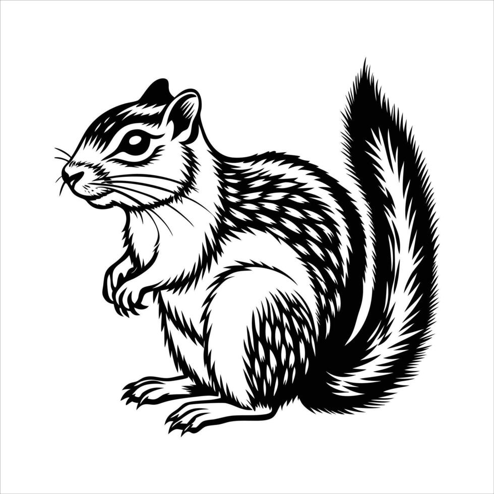 Belding ground squirrel vector