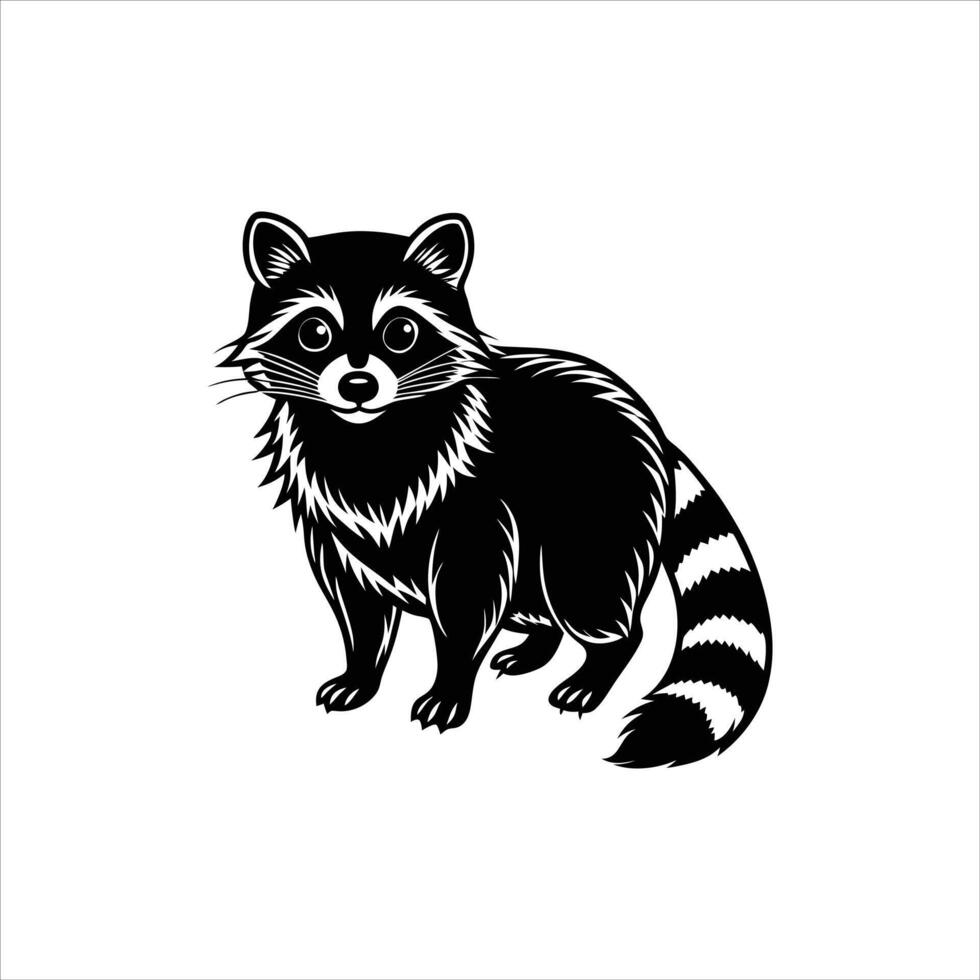 Raccoons have dispersed vector