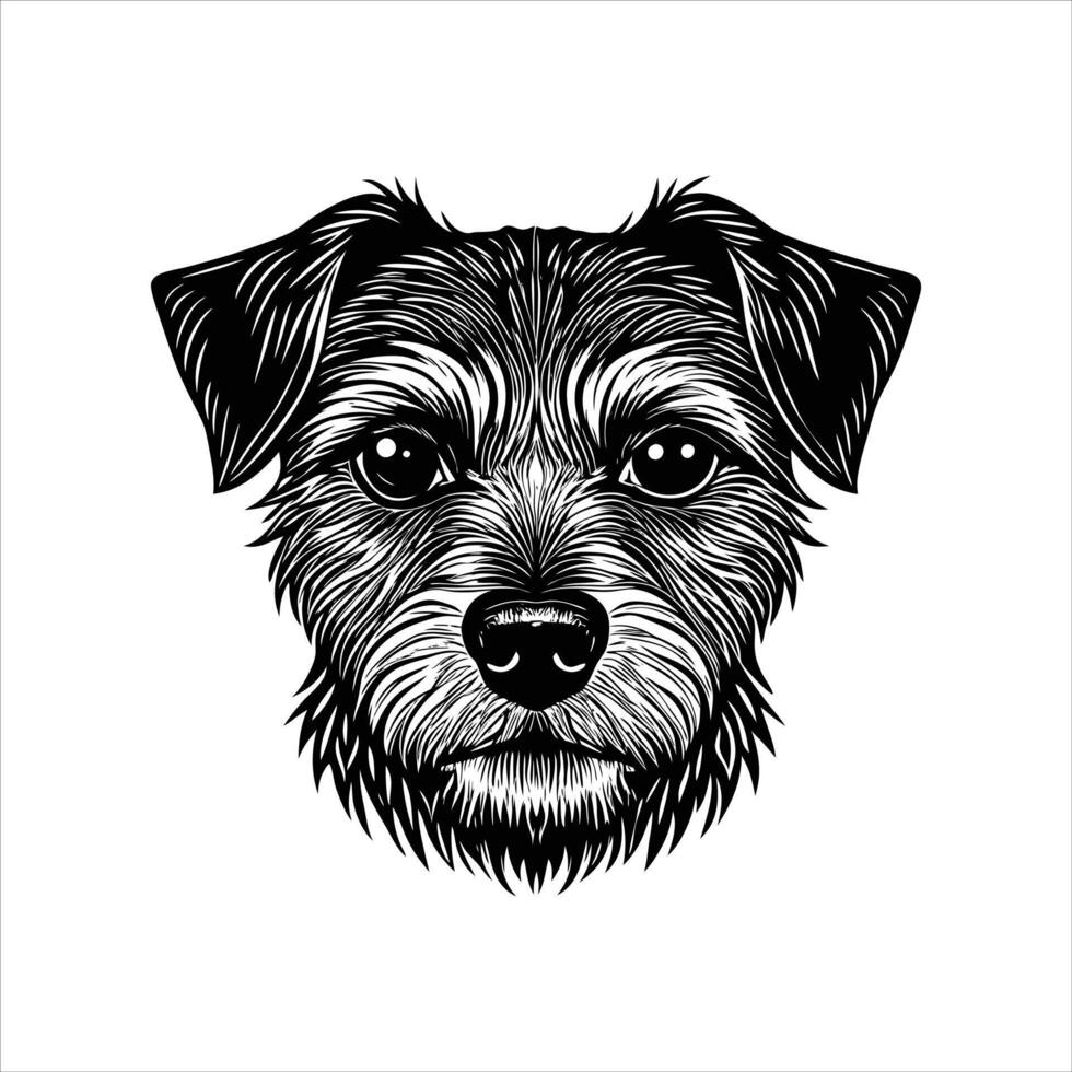 Border Terrier Dog face vector