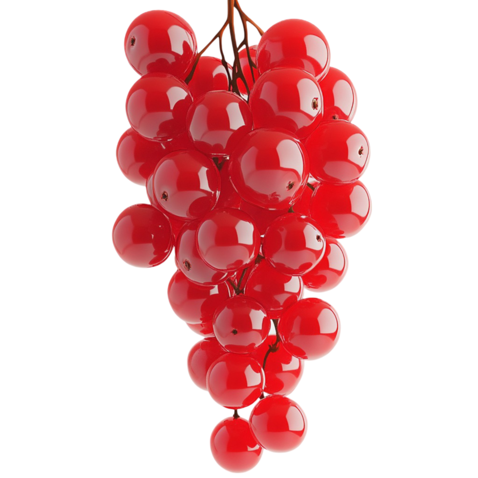 red grapes on a branch with a transparent background png