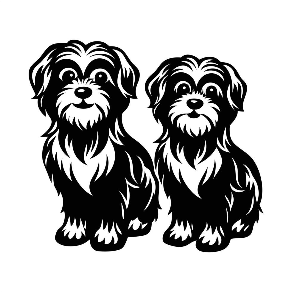 Two Maltese dogs vector