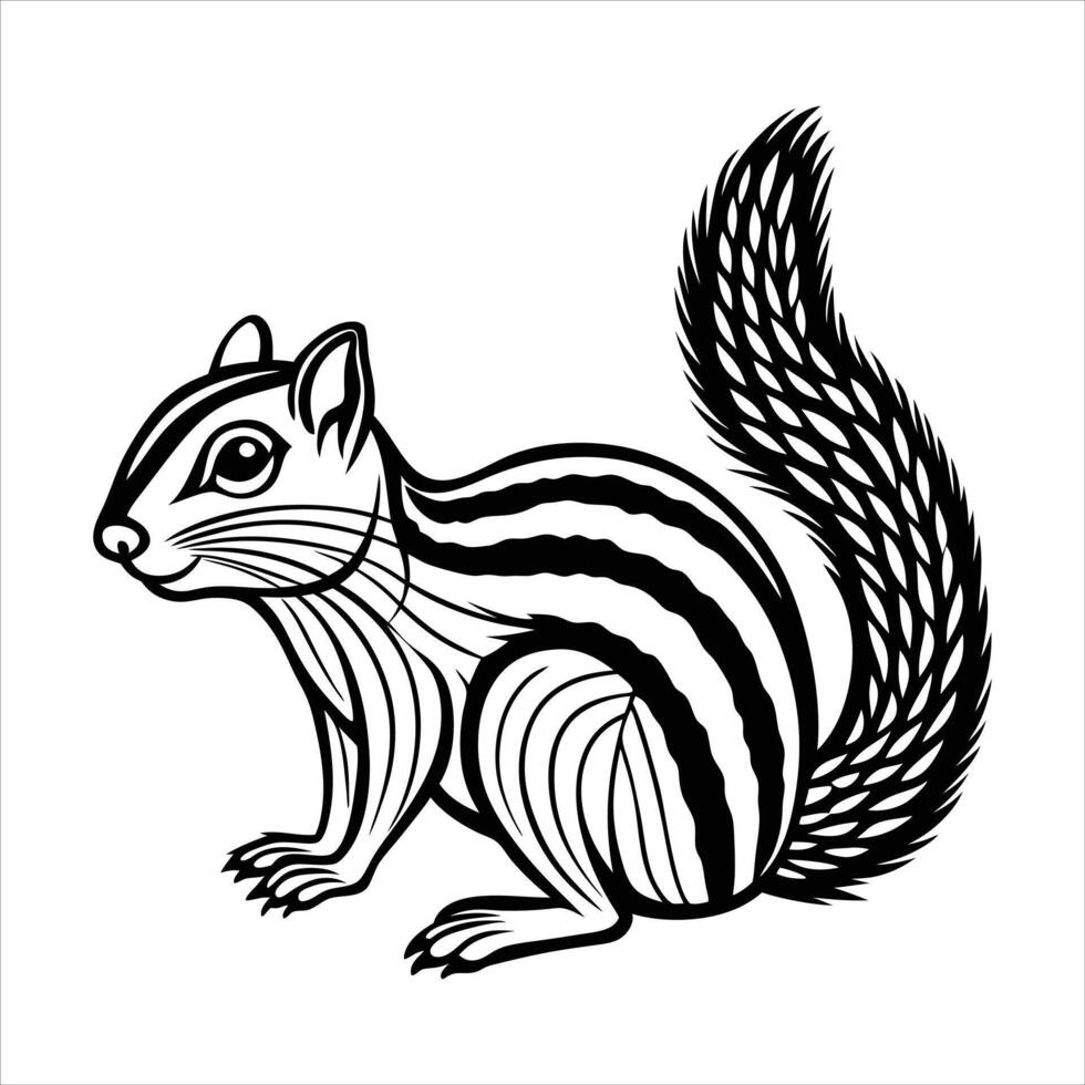 Thirteen lined ground squirrel vector