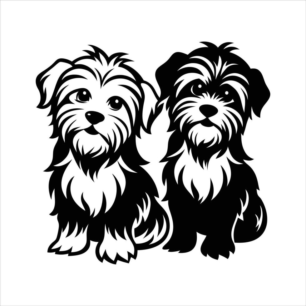 Two Maltese dog vector