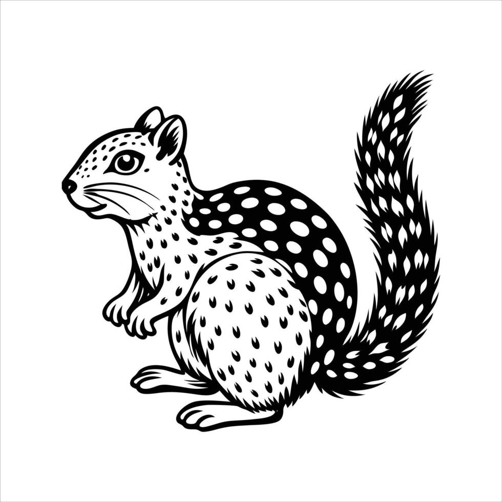 Spotted Ground Squirrel. vector