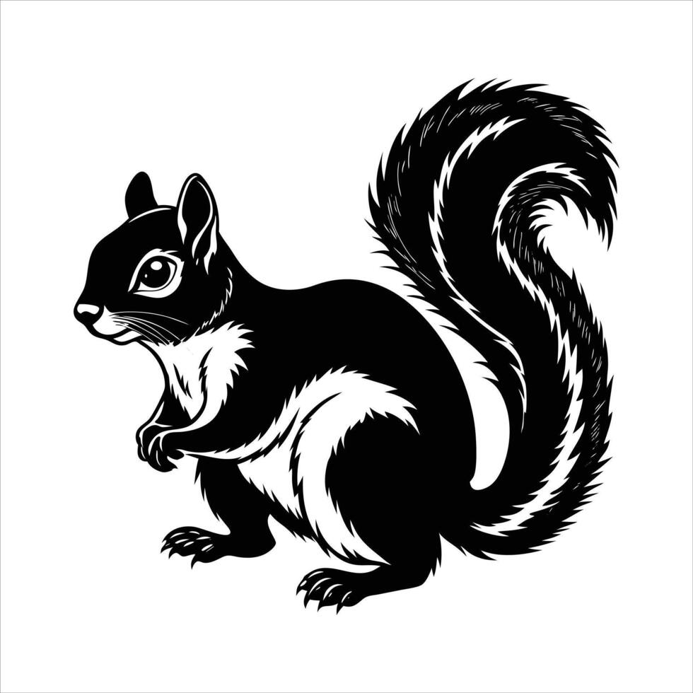 Oriental giant squirrel vector