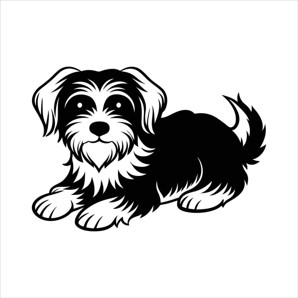 Maltese dog sleeping vector