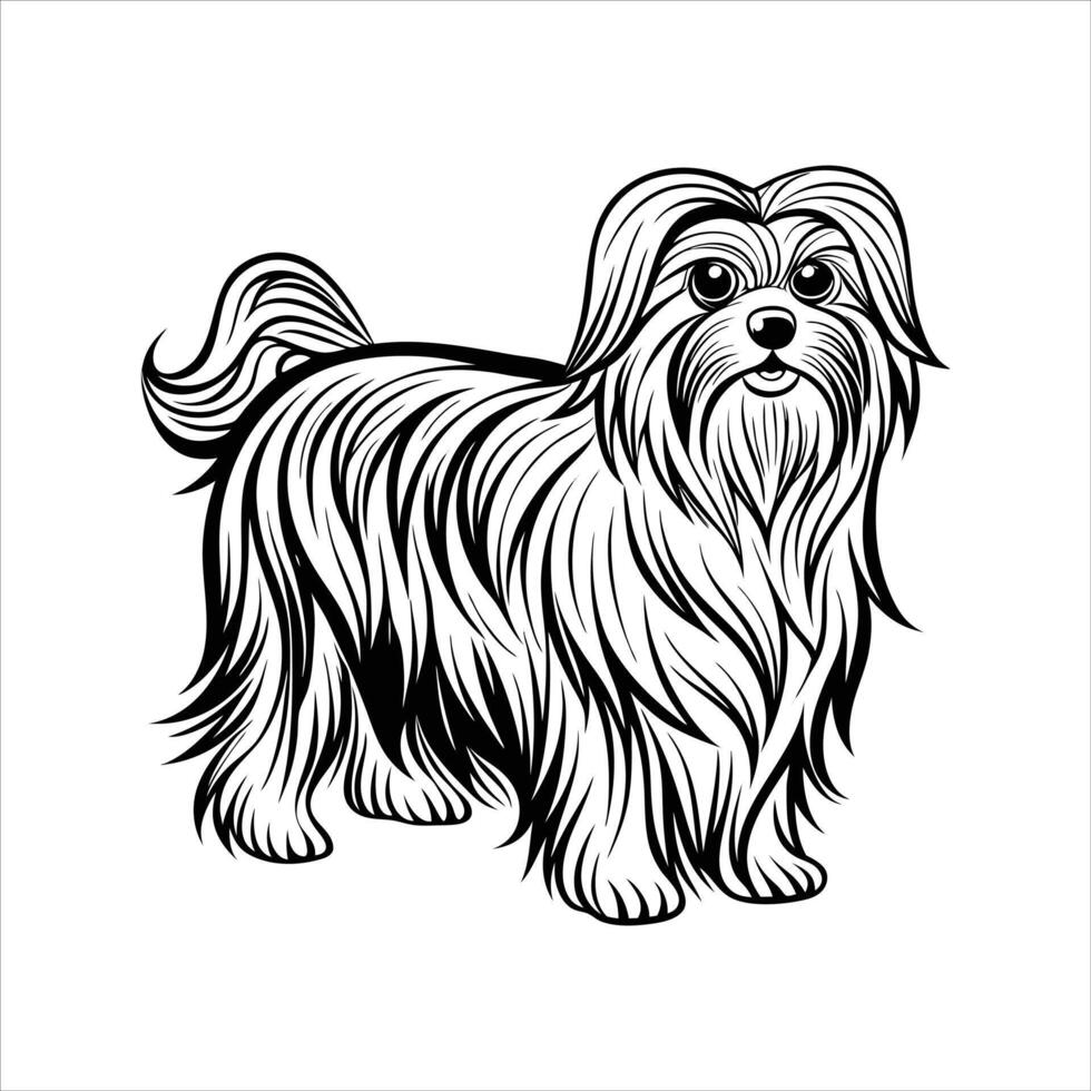 Maltese dogs love vector