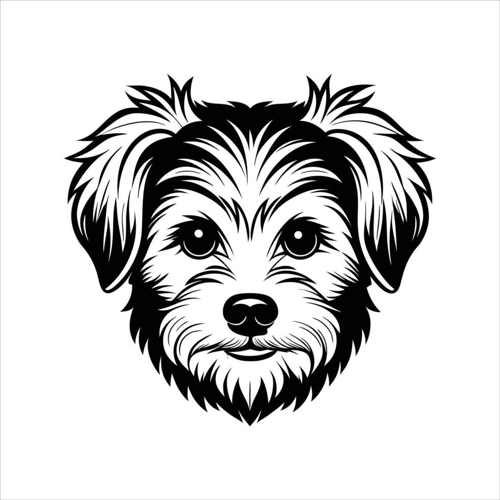 Maltese dog faces. vector