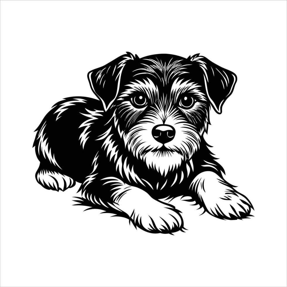 Border Terrier relax vector