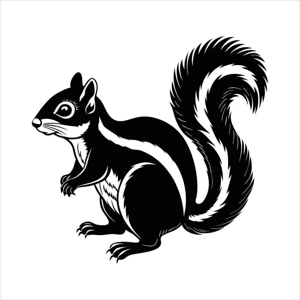Indian giant squirrel vector