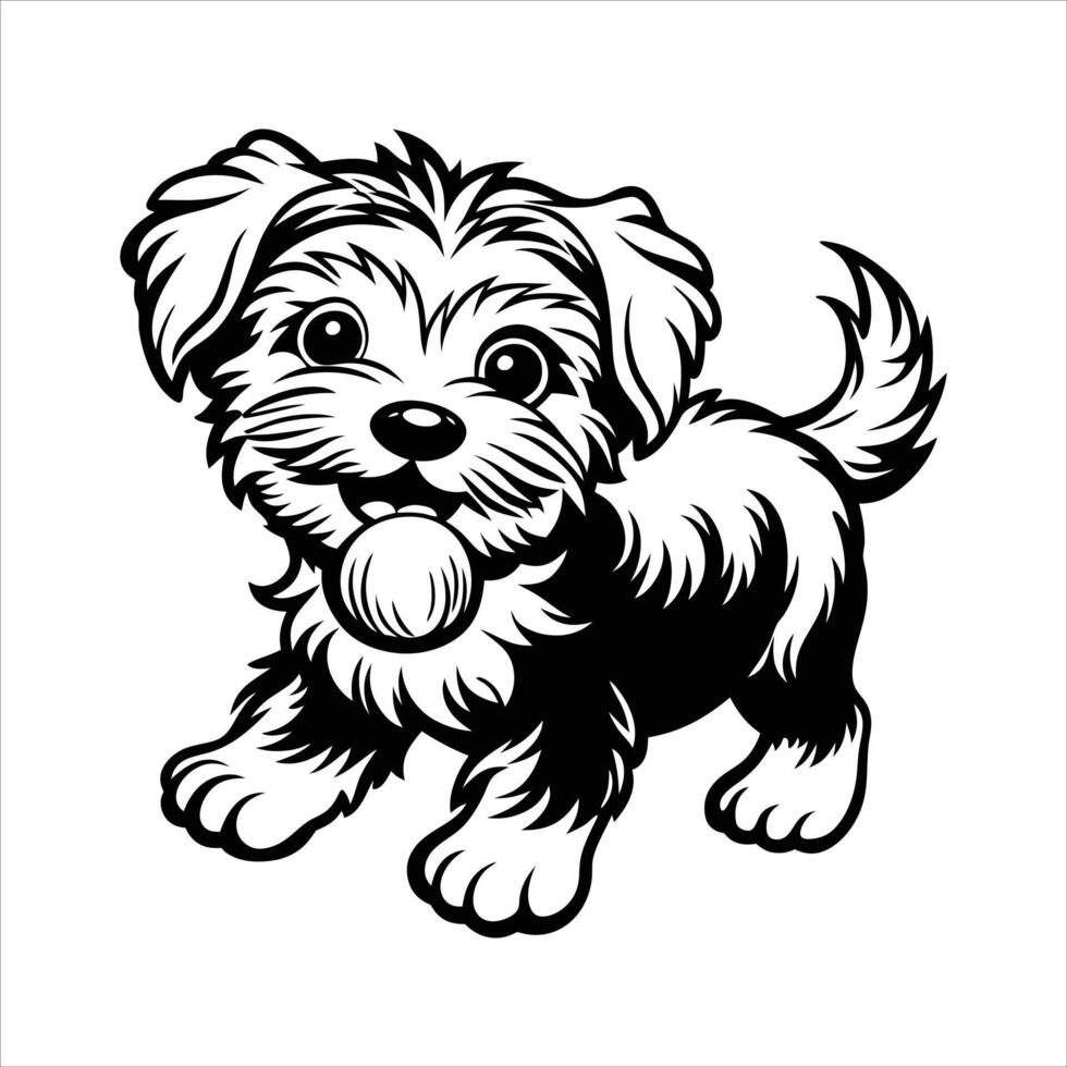 Perched confidently the Maltese puppys vector