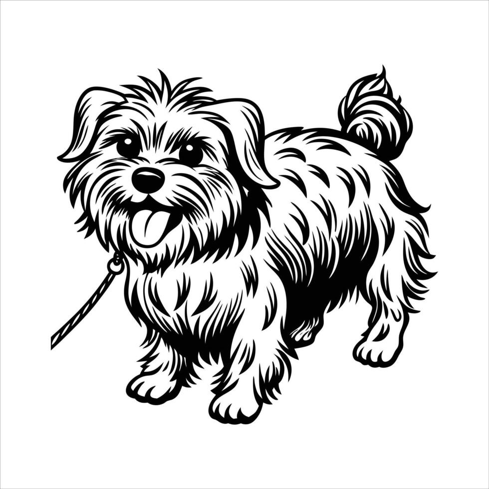 Maltese Dog Holding Leash Mouth vector