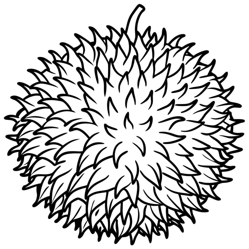 durian fruit coloring pages vector
