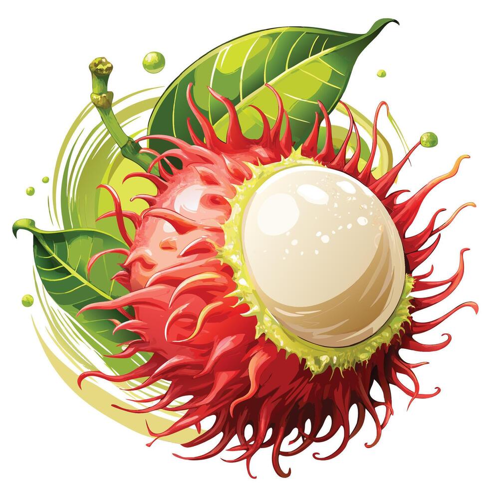 a red rambutan fruit with green leaves vector