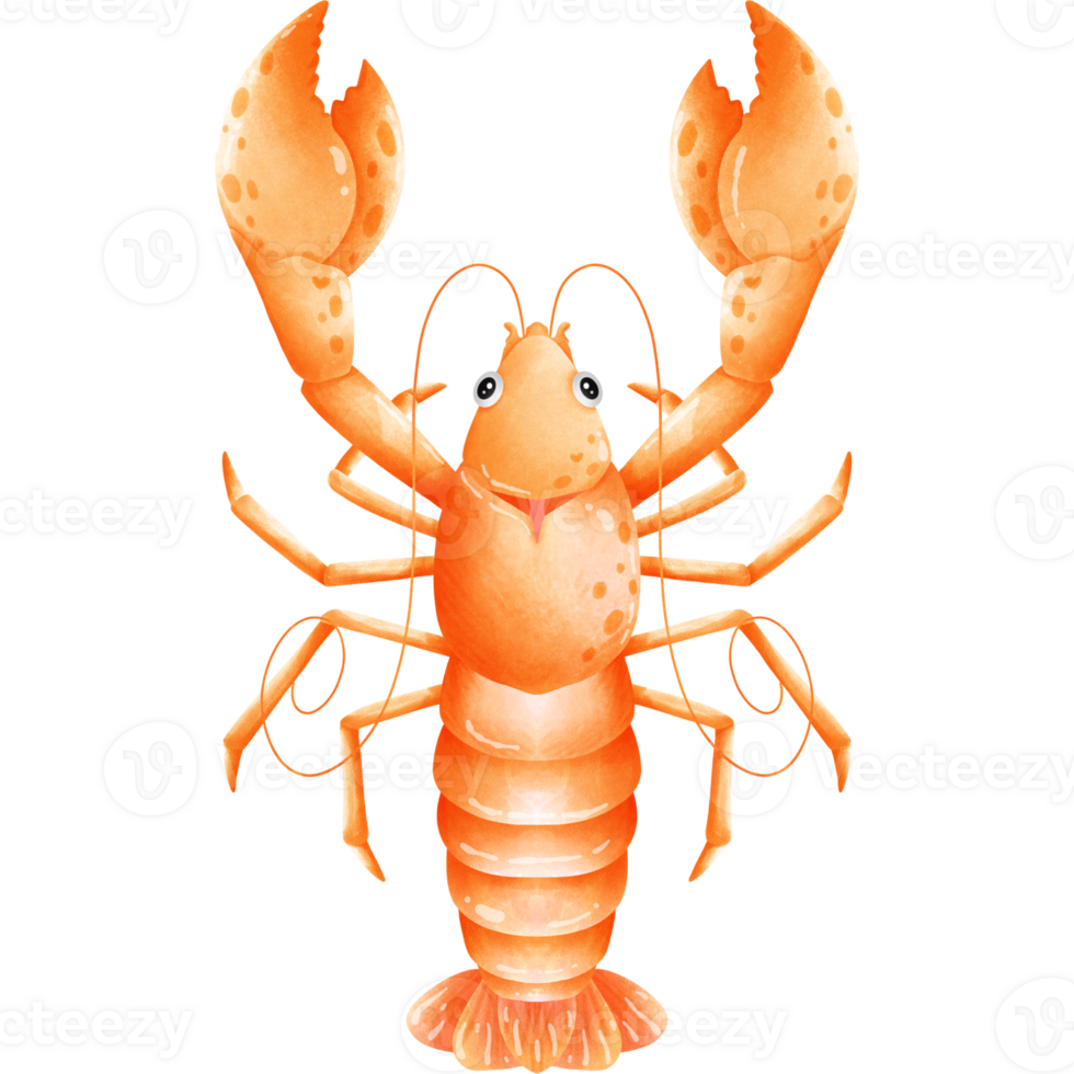 big orange lobster png