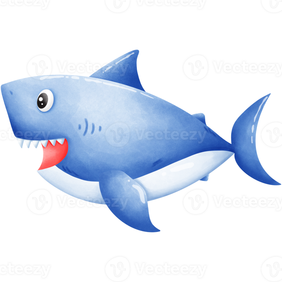 Shark in a good mood png