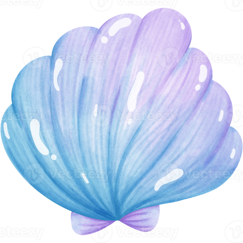 Purple hanging shell png