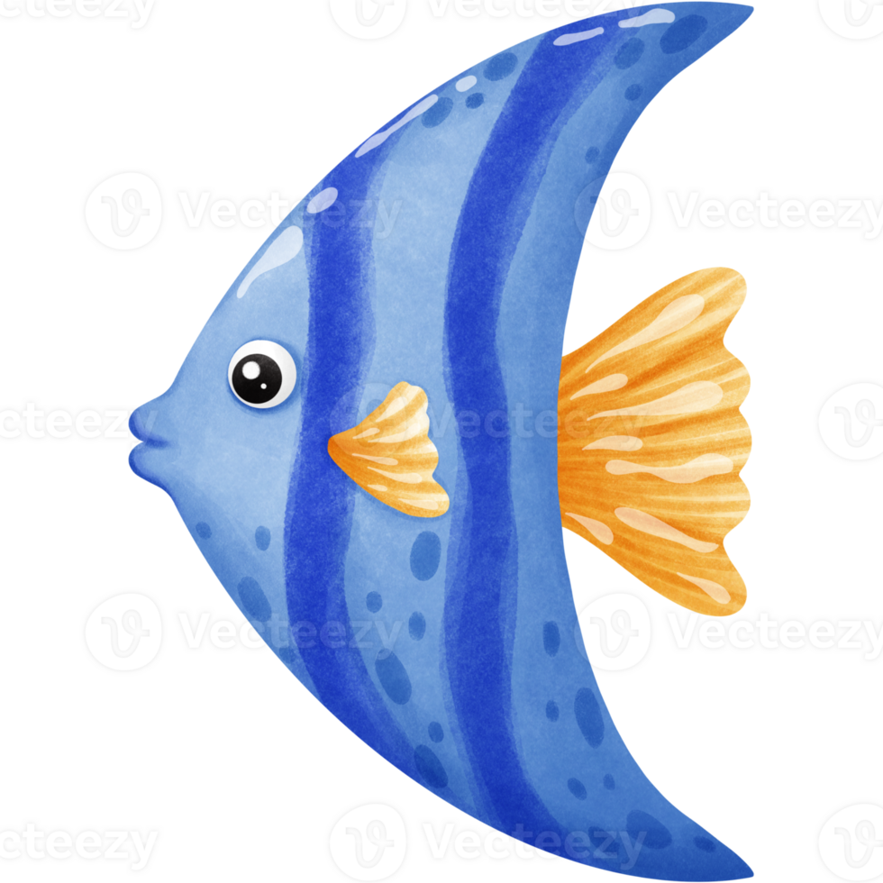 Colorful fish in the sea png