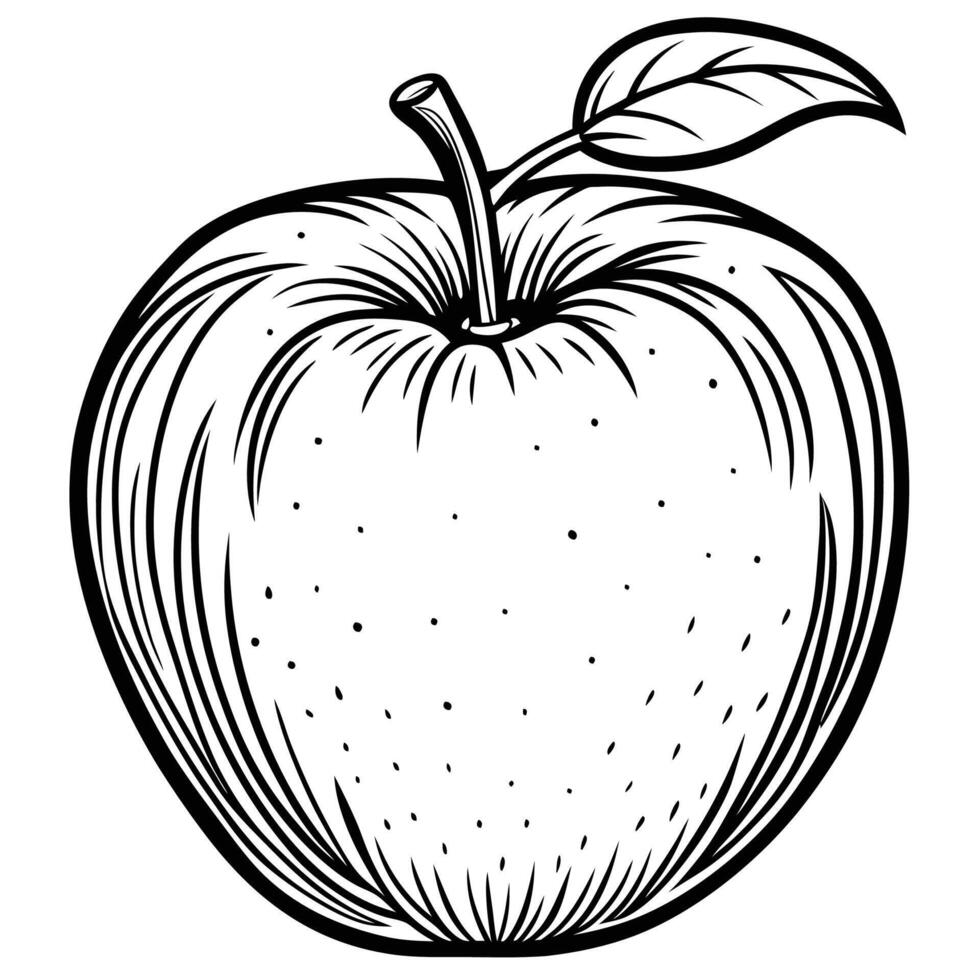 an apple is drawn in a black and white style vector