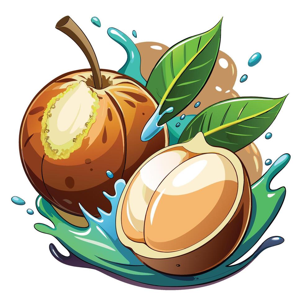 cartoon illustration of a nut with a splash of water vector