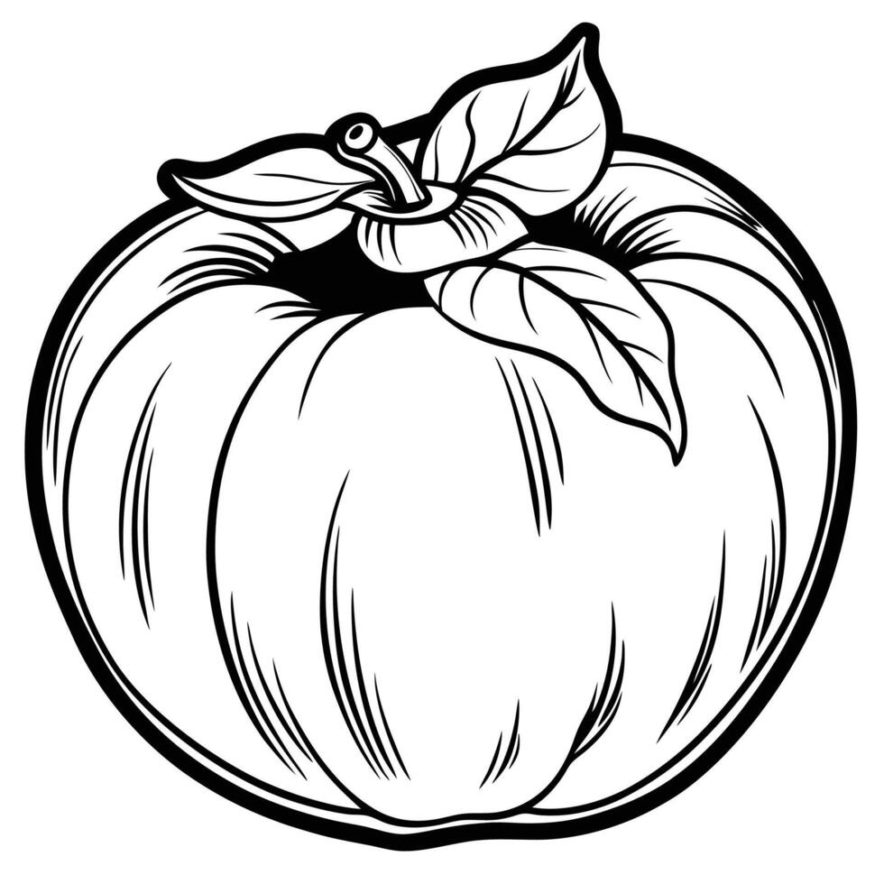a black and white drawing of a pumpkin vector