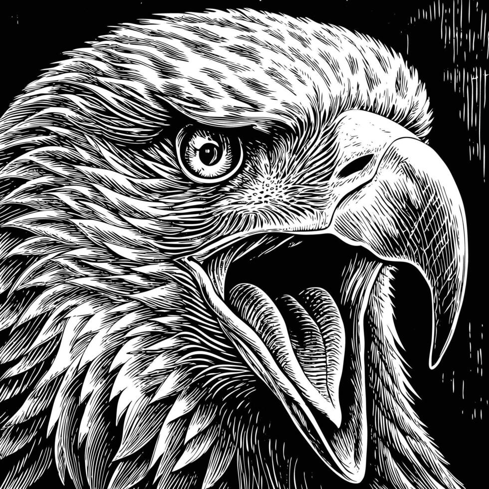 an eagle head in a black and white drawing vector