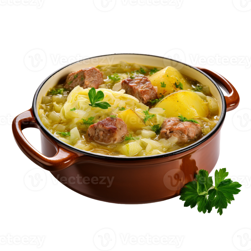 Appetizing Cabbage Soup Isolated On Transparent Background png