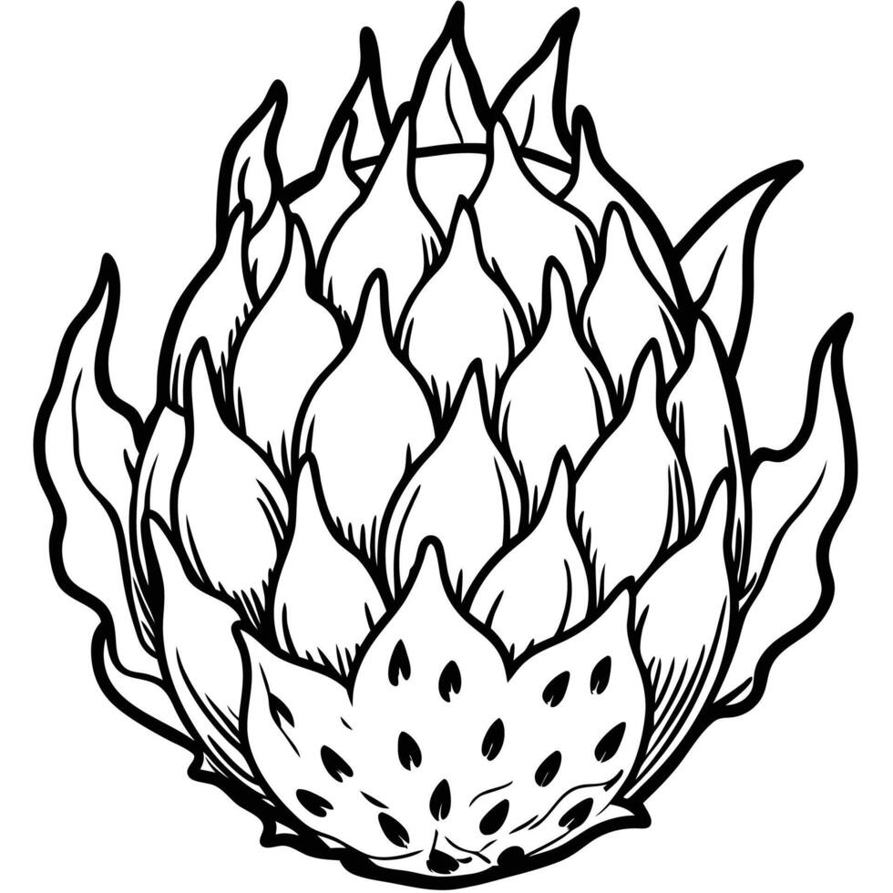 artichoke coloring pages vector