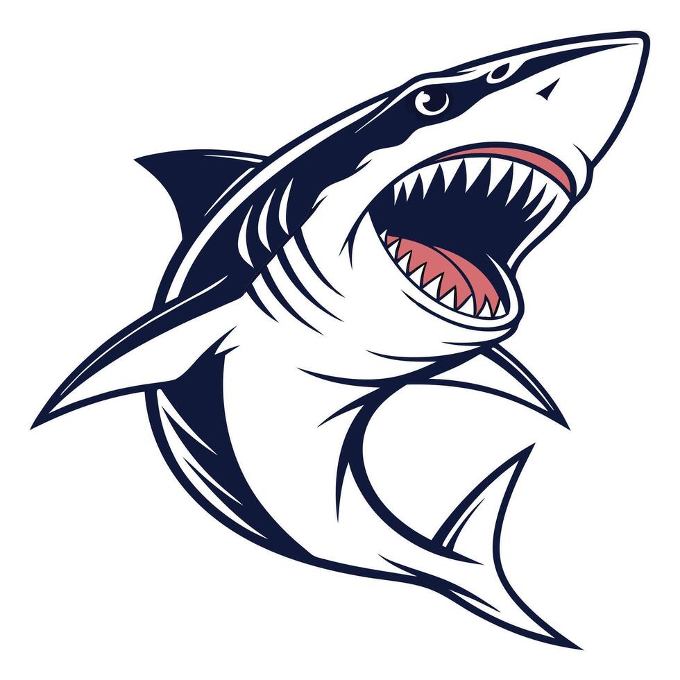 shark illustration art vector