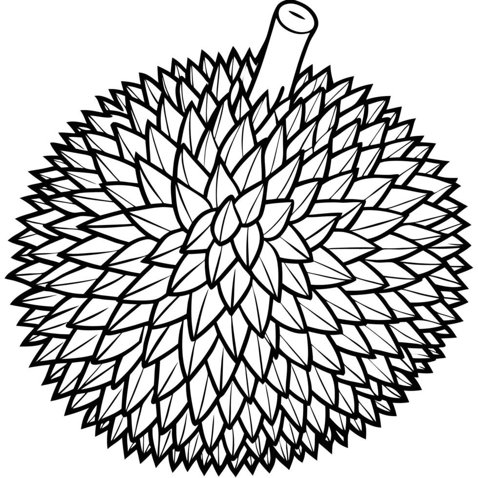 a black and white drawing of a durian fruit vector