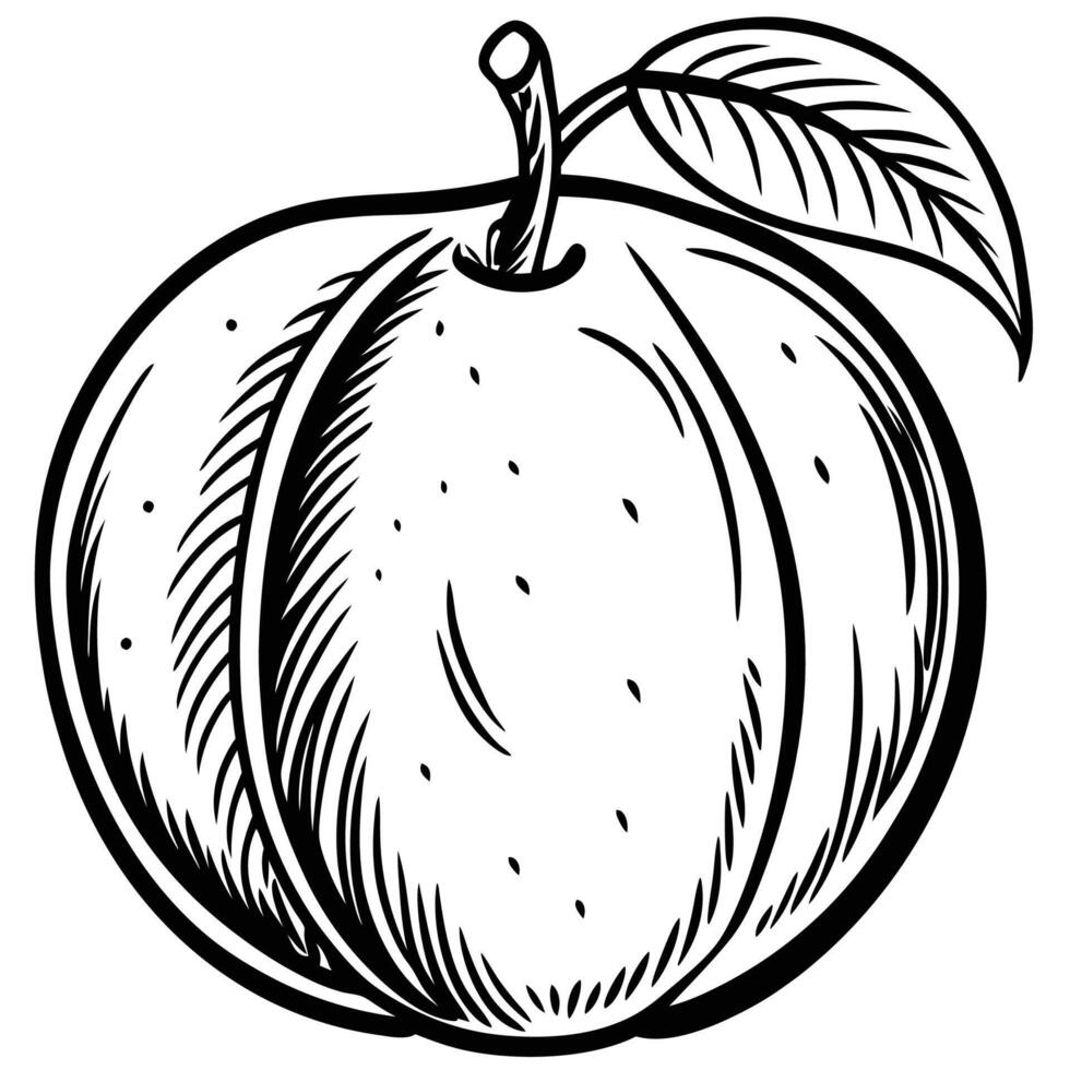a black and white drawing of a peach vector