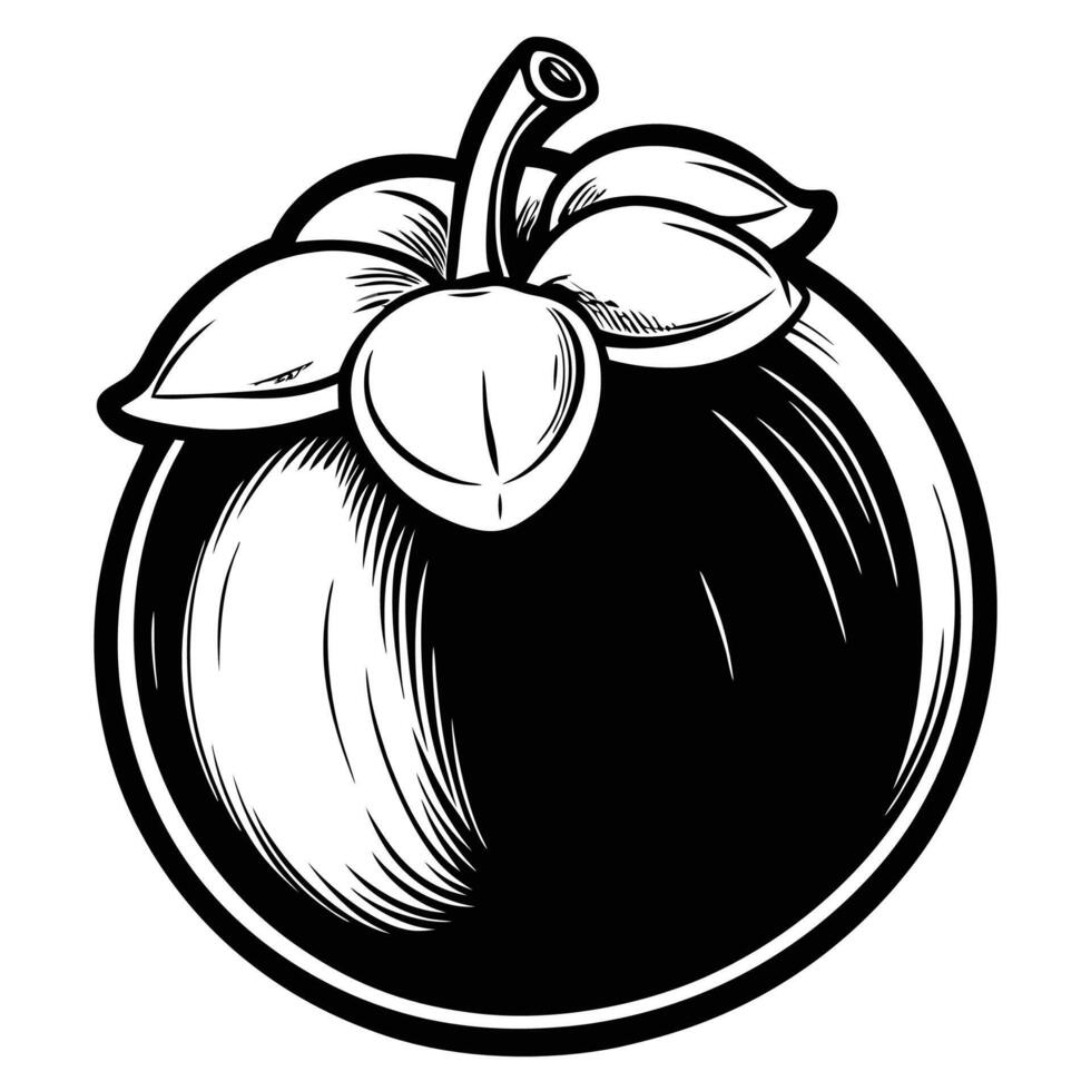 a black and white drawing of a mango vector