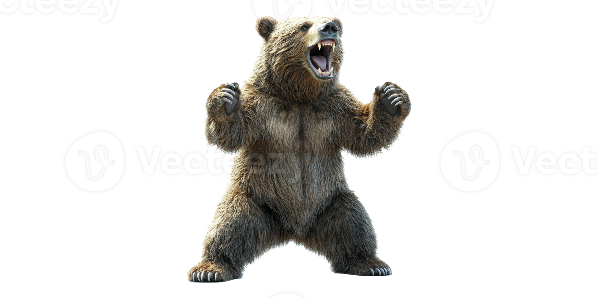 Bear Isolated on Transparent Background. png