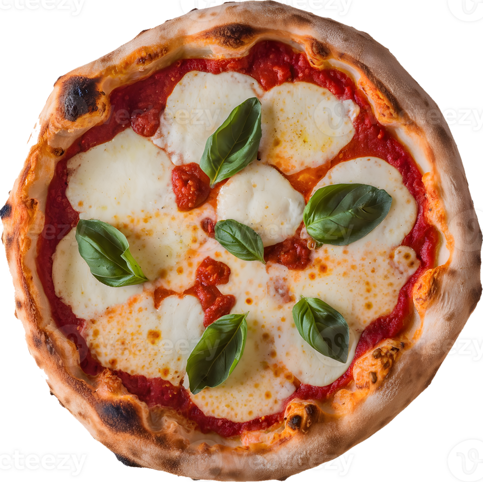 Classic Margherita Pizza png