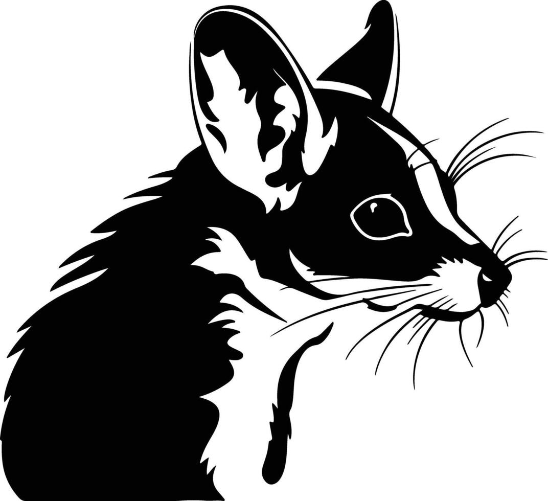 Black silhouette of sugar glider head vector