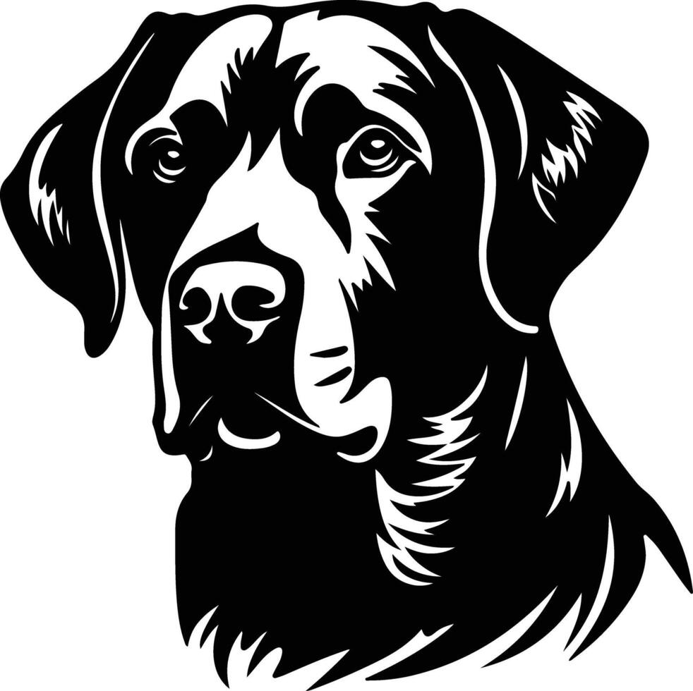 heavenly Black silhouette of Labrador retriever head vector