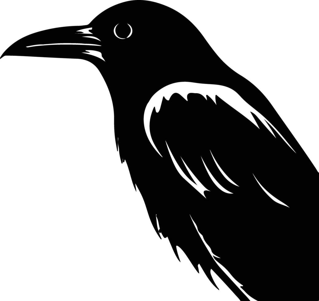 precious Black silhouette of oropendola head vector