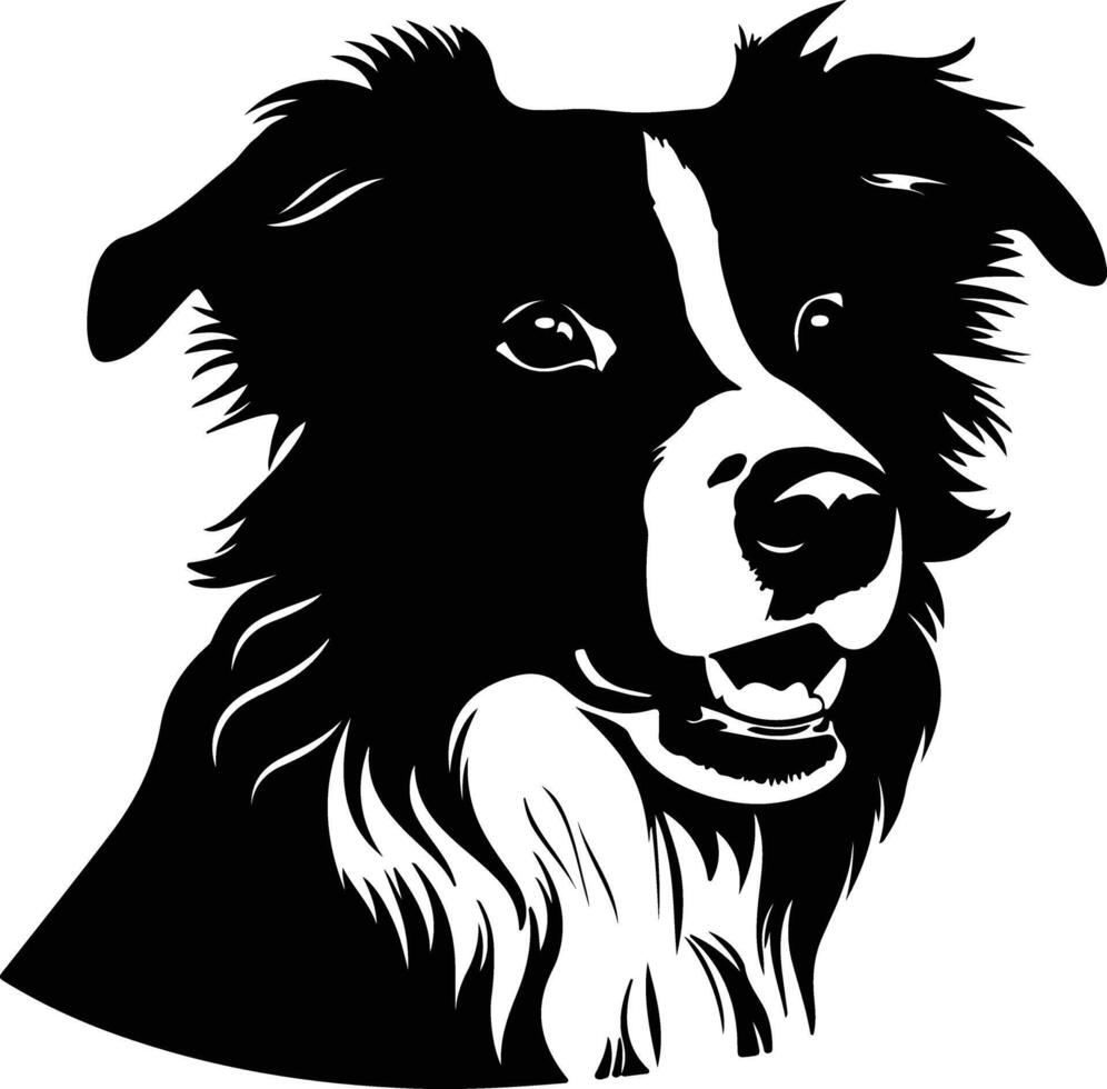 sweet Black silhouette of border collie head vector