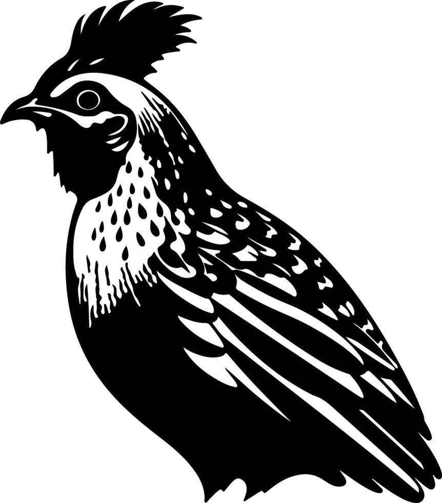 precious Black silhouette of prairie chicken head vector