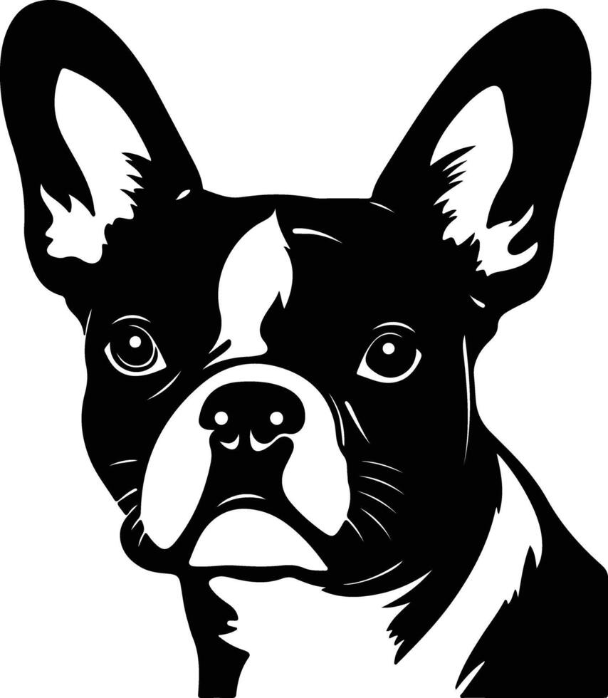 adorable Black silhouette of Boston terrier head vector