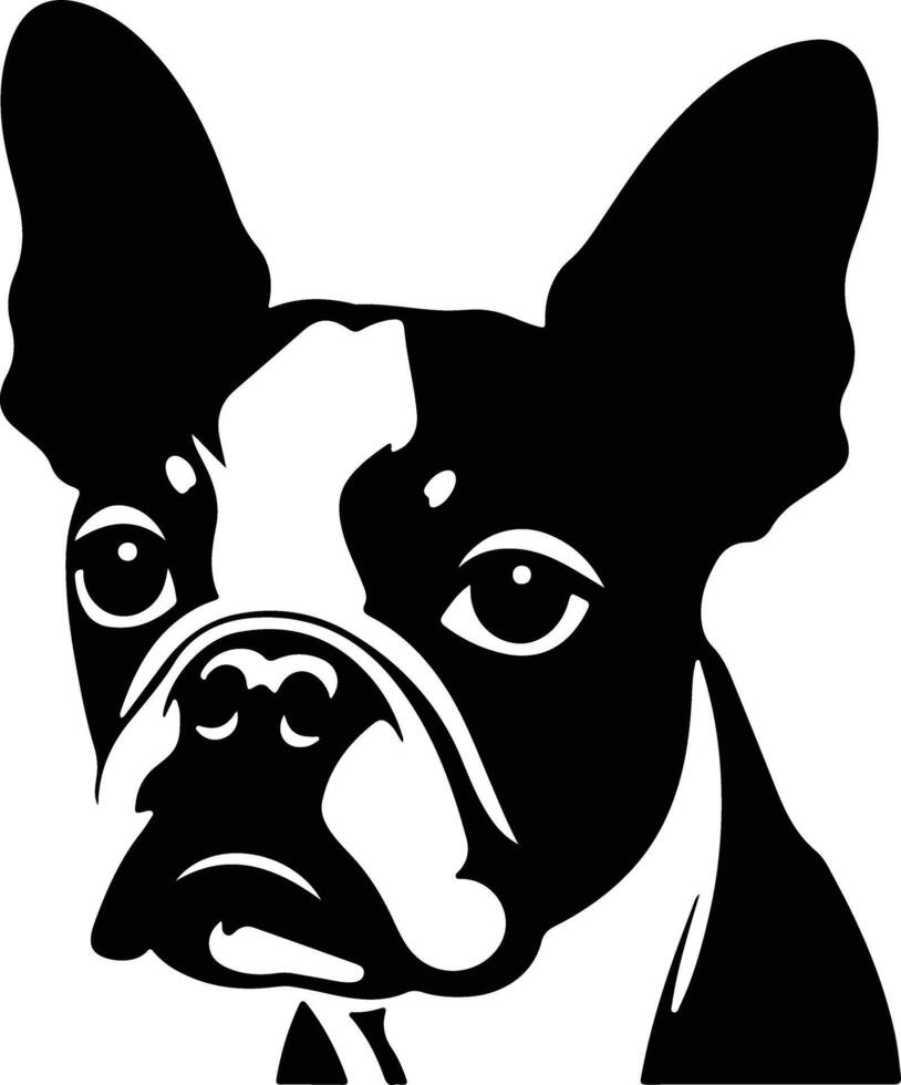 graceful Black silhouette of Boston terrier head vector
