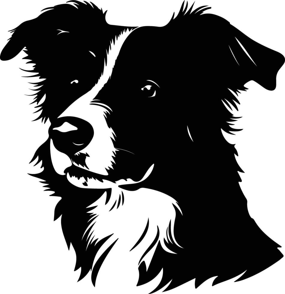 heavenly Black silhouette of border collie head vector
