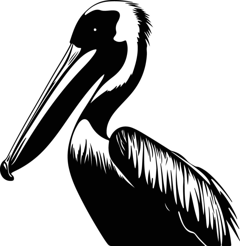 adorable Black silhouette of brown pelican head vector