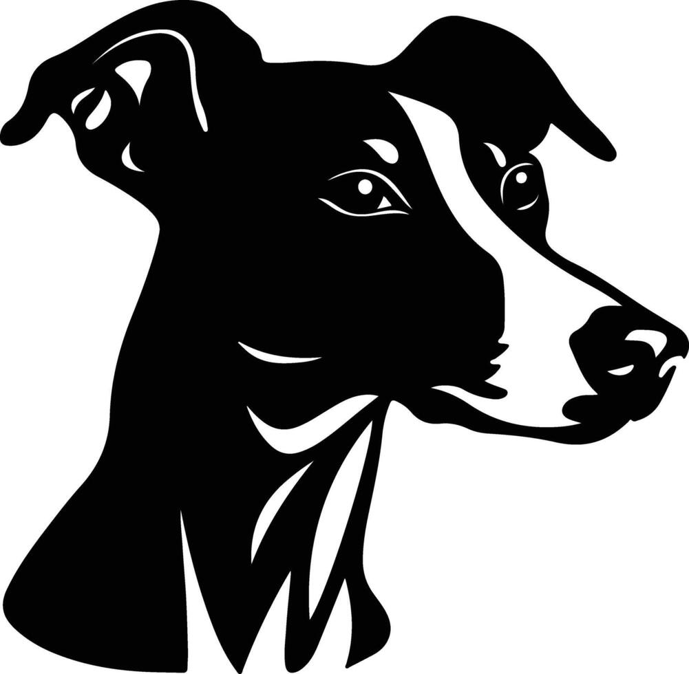 adorable Black silhouette of whippet head vector