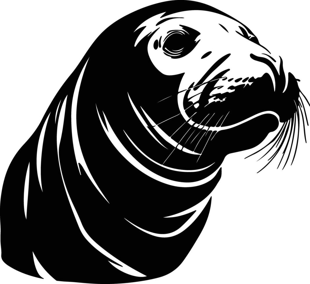 sweet Black silhouette of northern elephant seal head vector