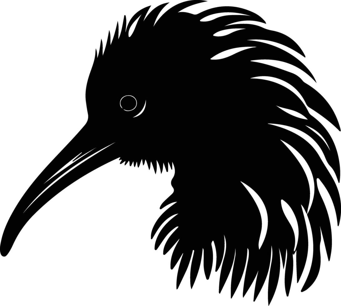 sweet Black silhouette of kiwi head vector