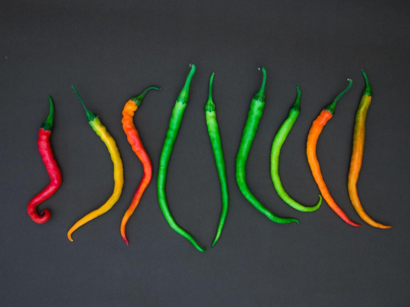 Chili peppers isolated on dark background photo