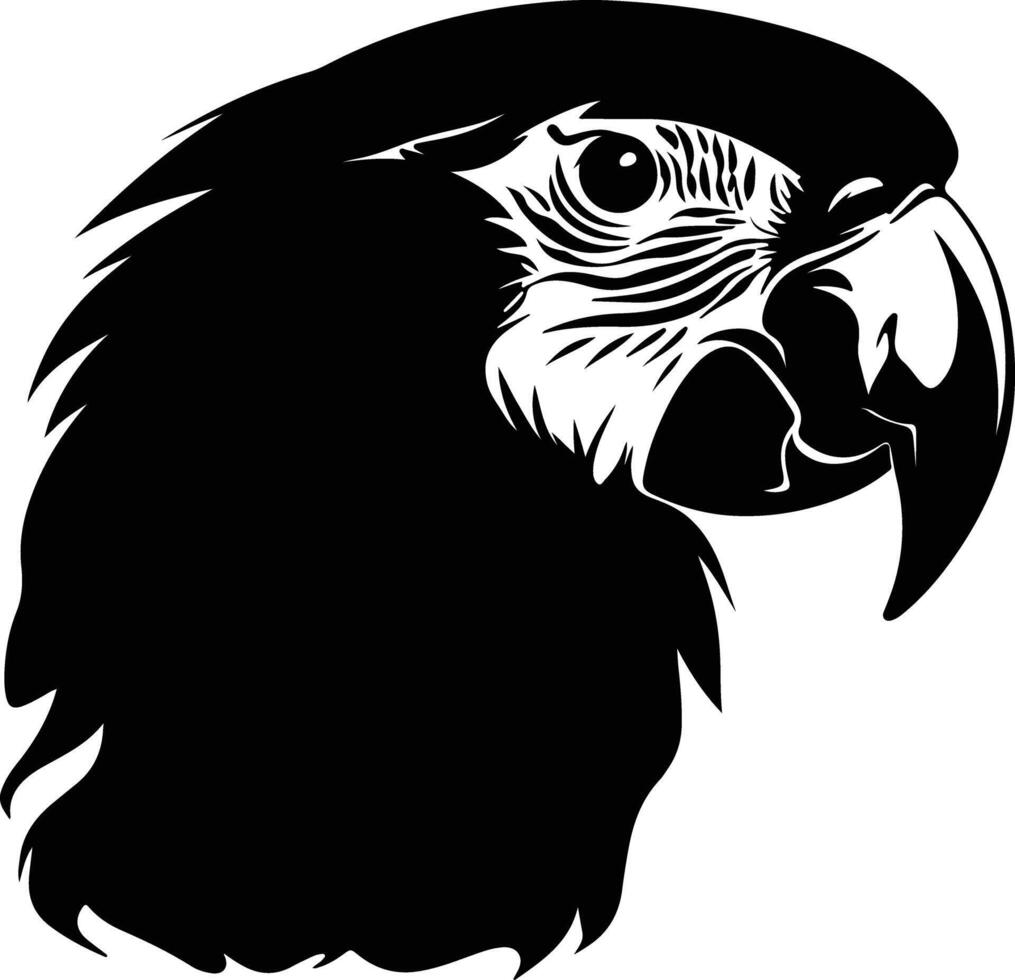 precious Black silhouette of scarlet macaw head vector