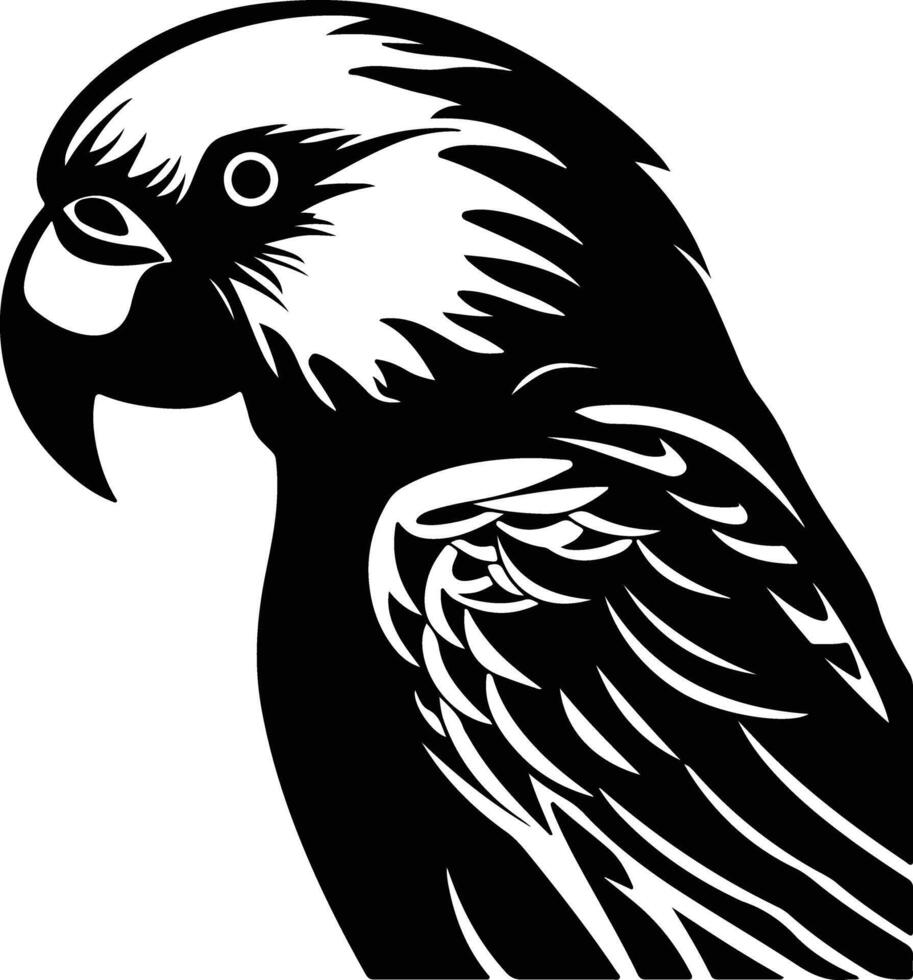 sweet Black silhouette of lorikeet head vector