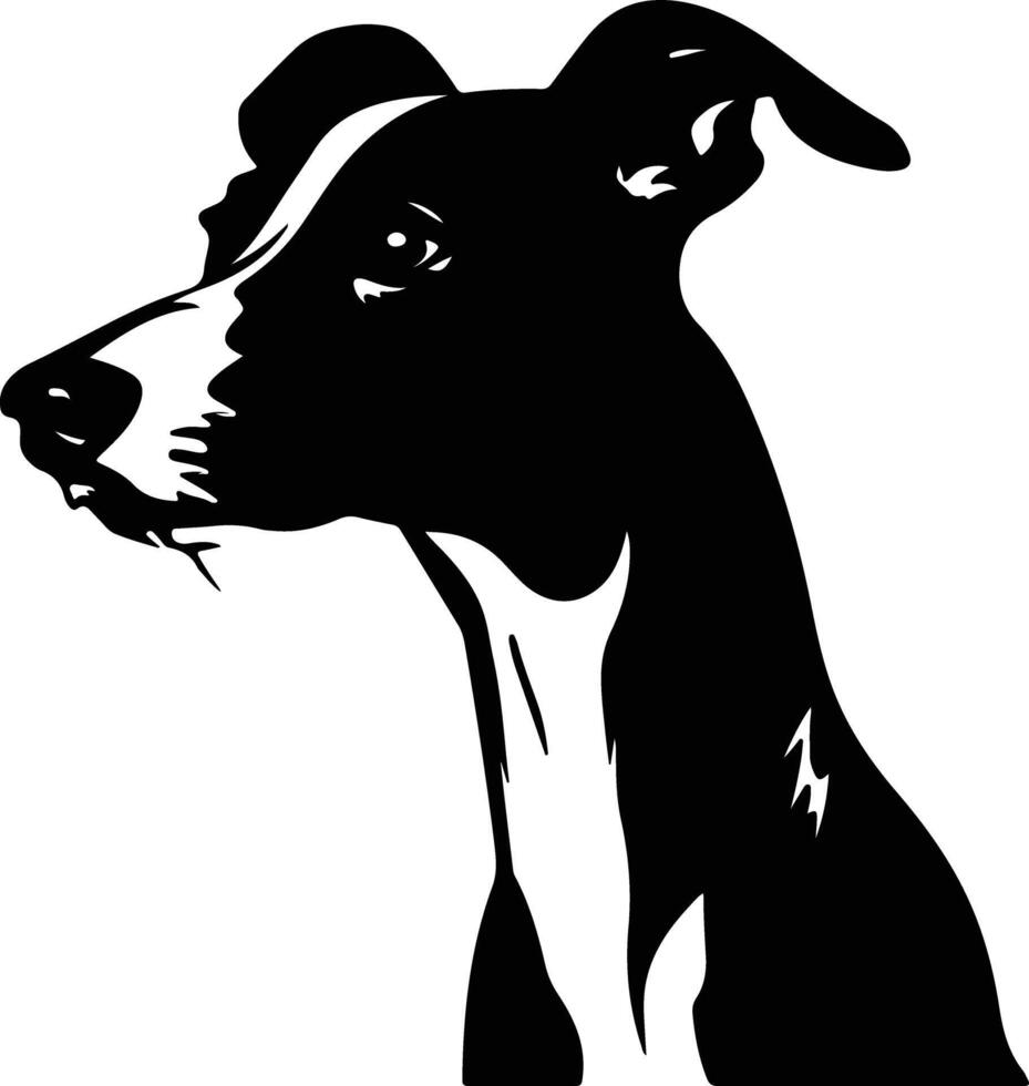 graceful Black silhouette of whippet head vector